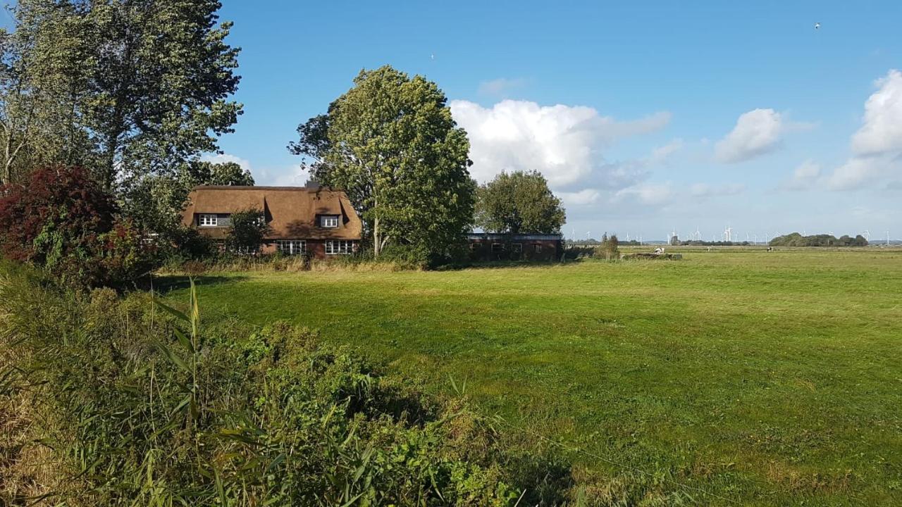 Hattstedtermarsch Ferienwohnung Diekblick - Kleiner Deichhof מראה חיצוני תמונה
