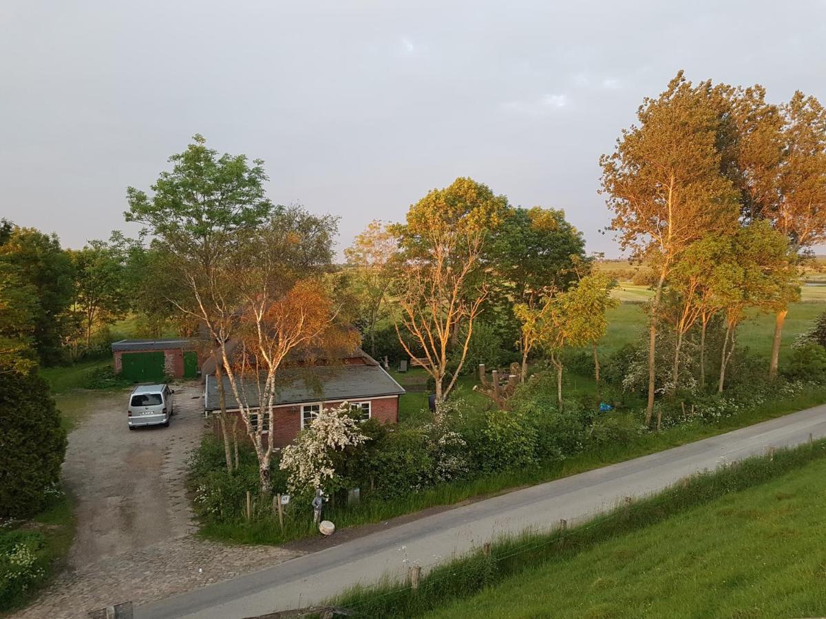 Hattstedtermarsch Ferienwohnung Diekblick - Kleiner Deichhof מראה חיצוני תמונה